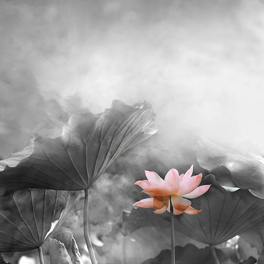 Ink Lotus and Bird, photo 14