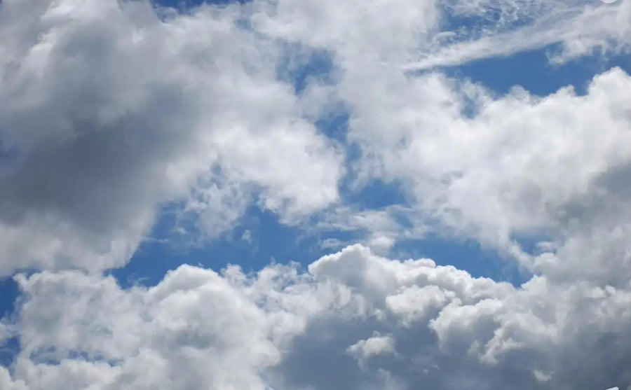 Mediterranean Sky and Seagulls, photo 6