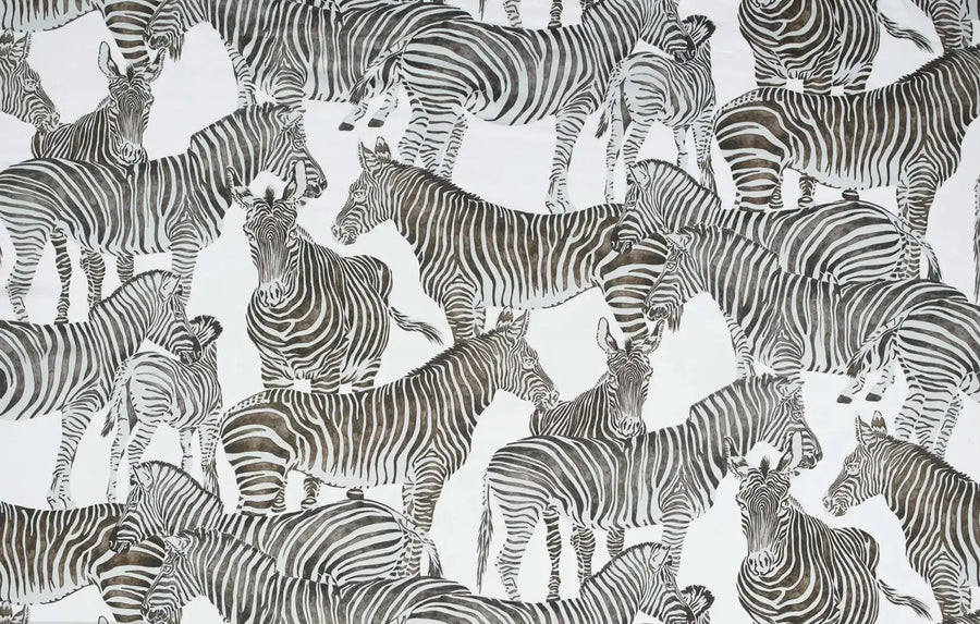 Zebras and Branches, photo 10