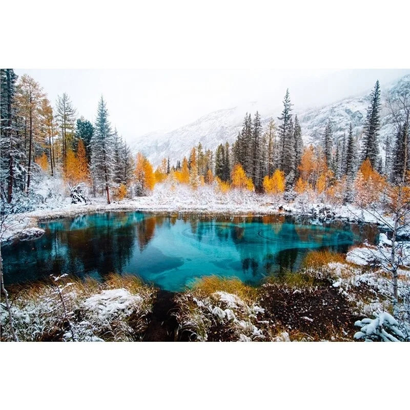 Snowy Forest and Lake, photo 7