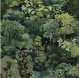 Colourway 1