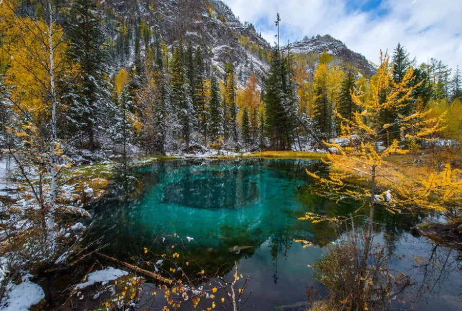 Snowy Forest and Lake, photo 11