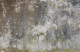 Colourway 5