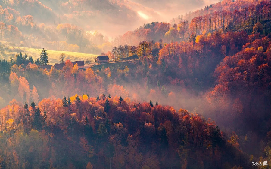 Autumn Forest with Yellow Leaves, photo 16