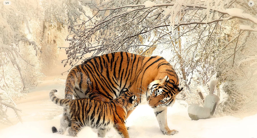 Tiger in the Snow, Oil Painting, photo 9