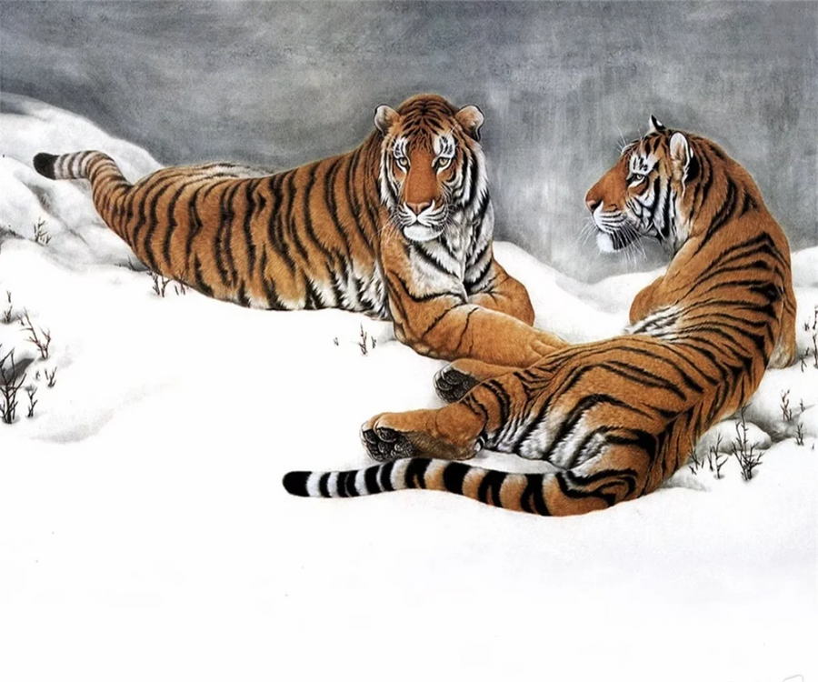 Tiger in the Snow, Oil Painting, photo 6