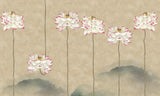 Colourway 15