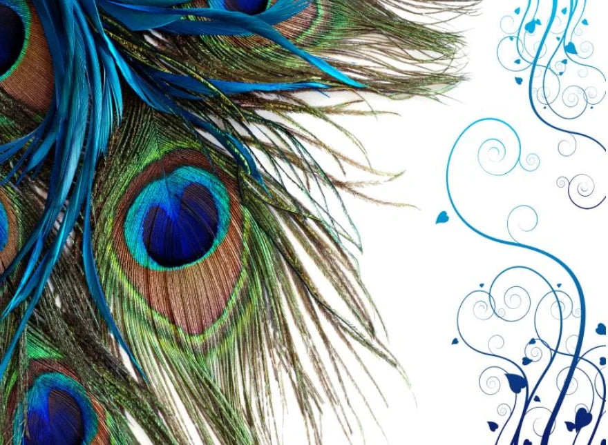 Peacock Feathers on Blue and White Marble, photo 6