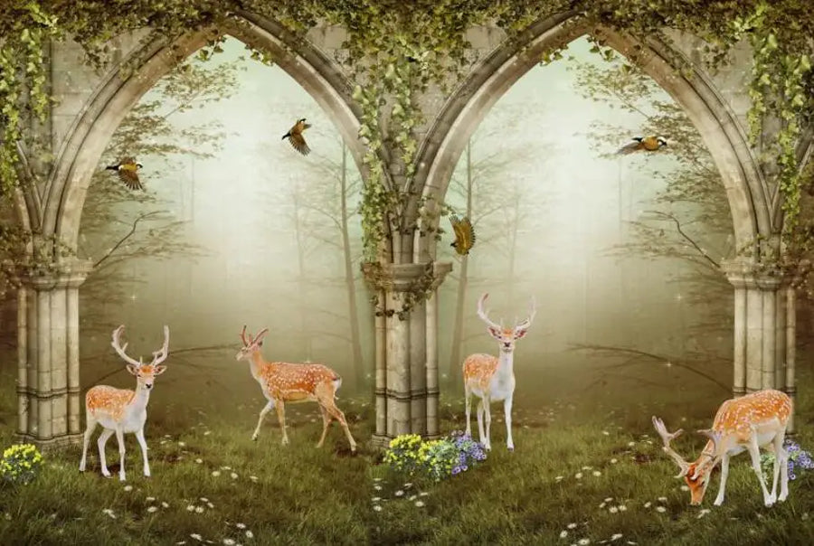 Arch, Deer and Sea View, photo 11