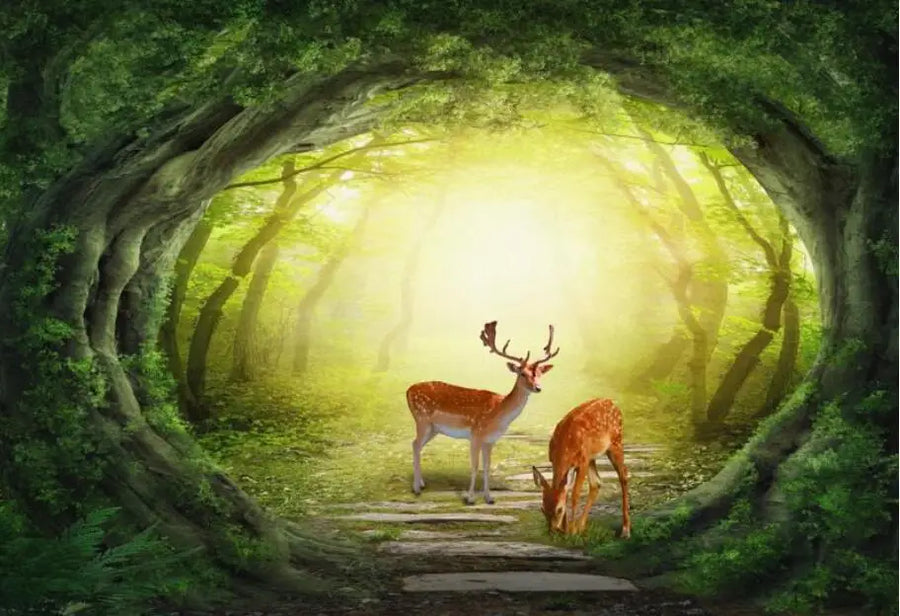 Arch, Deer and Sea View, photo 8