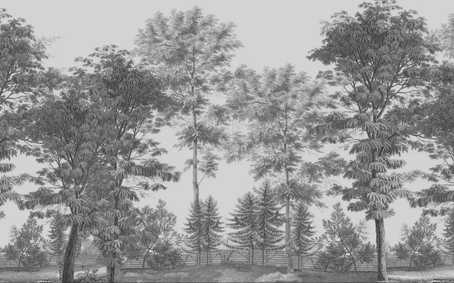 Black and White Painted Jungle, photo 9